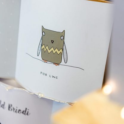 Pob-Lwc-Good-Luck-Owl-Cardiau-Cymraeg-Welsh-Cards