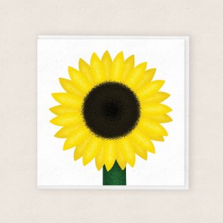 Cardiau Cymraeg Sunflower Card Carden Blodyn yr Haul