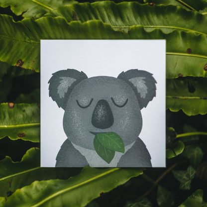 Cardiau Elusen Cardiau Cymraeg Koala Australia Charity Card