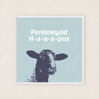 Carden Penblwydd Dafad - Cardiau Cymraeg - Welsh Sheep Birthday Card