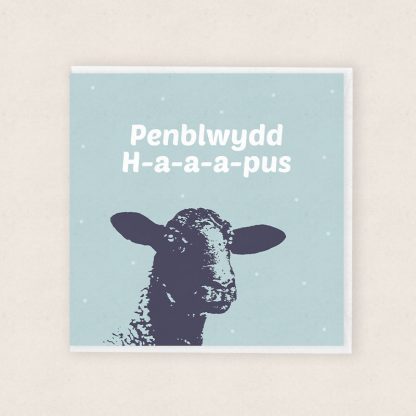 Carden Penblwydd Dafad - Cardiau Cymraeg - Welsh Sheep Birthday Card