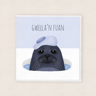 Get Well Soon Welsh Cards Cardiau Cymraeg Gwella'n Fuan