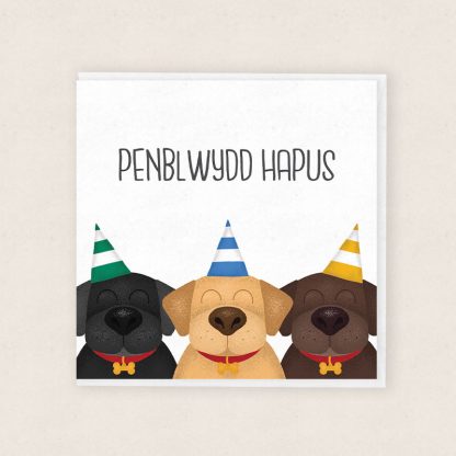 Penblwydd Hapus Labradors Happy Birthday Cardiau Cymraeg Welsh Cards