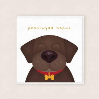 Labrador Siocled Penblwydd Birthday Chocolate Labrador Cardiau Cymraeg Welsh Cards
