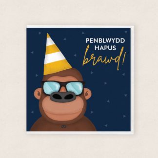 Penblwydd Hapus Brawd Happy Birthday Brother Monkey Cardiau Cymraeg Welsh Cards