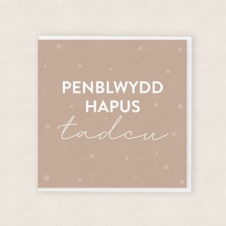 Penblwydd Hapus Tadcu Happy Birthday Tadcu Cardiau Cymraeg Welsh Cards