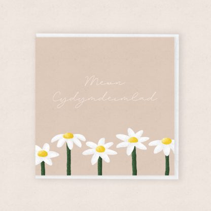 Mewn Cydymdeimlad Llygad y Dydd In Condolences Daisies Cardiau Cymraeg Welsh Cards