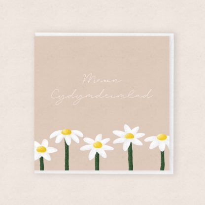 Mewn Cydymdeimlad Llygad y Dydd In Condolences Daisies Cardiau Cymraeg Welsh Cards