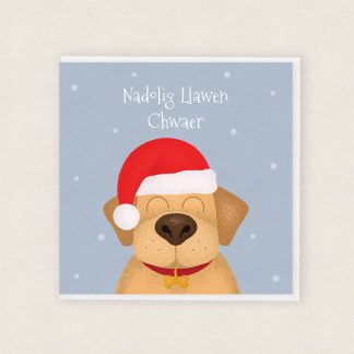 Nadolig Llawen Chwaer Merry Christmas Sister Cardiau Cymraeg Welsh Cards