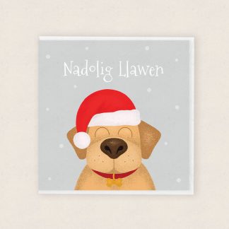 Christmas Labrador Nadolig Cardiau Cymraeg Welsh Cards