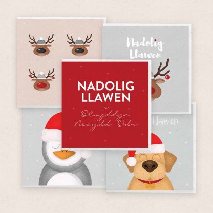 Cardiau Cymraeg Pecyn Cardiau Nadolig Christmas Card Pack
