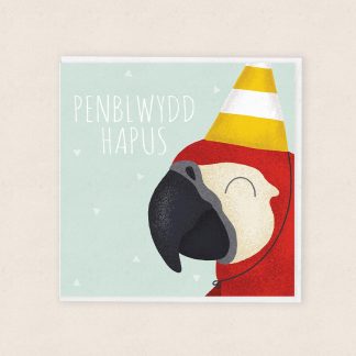 Cardiau Penblwydd Cymraeg Welsh Birthday Cards