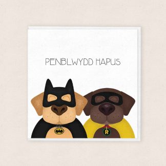 Cardiau-Cymraeg-Birthday-Cards-Superheroes