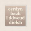 Cardiau-Diolch-Cymraeg-Welsh-Thank-You-Cards