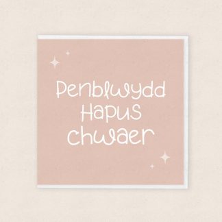 Penblwydd Hapus Chwaer Happy Birthday Sister Cardiau Cymraeg Welsh Cards