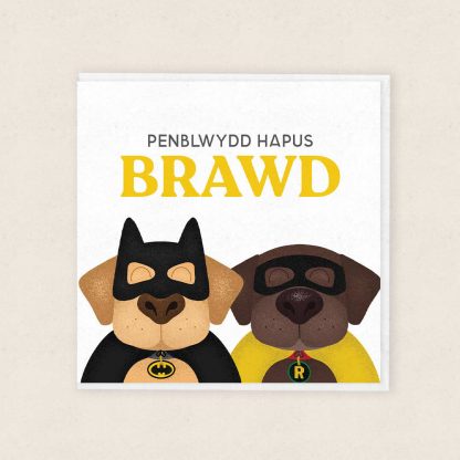 Penblwydd Hapus Brawd Cardiau-Cymraeg-Birthday-Cards-Superheroes