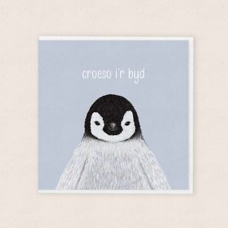 Cerdyn Babi Newydd Cymraeg Croeso i'r Byd Welsh New Baby Card Cardiau Cymraeg