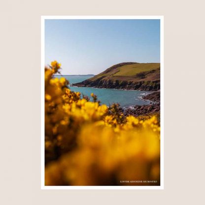 Llwybr Arfordir Sir Benfro Pembrokeshire Coastal Path Photography Print